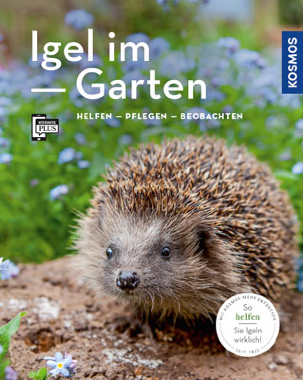 Igel im Garten